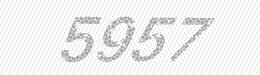 Visual security code — type the characters shown in the image