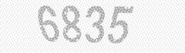 Visual security code — type the characters shown in the image